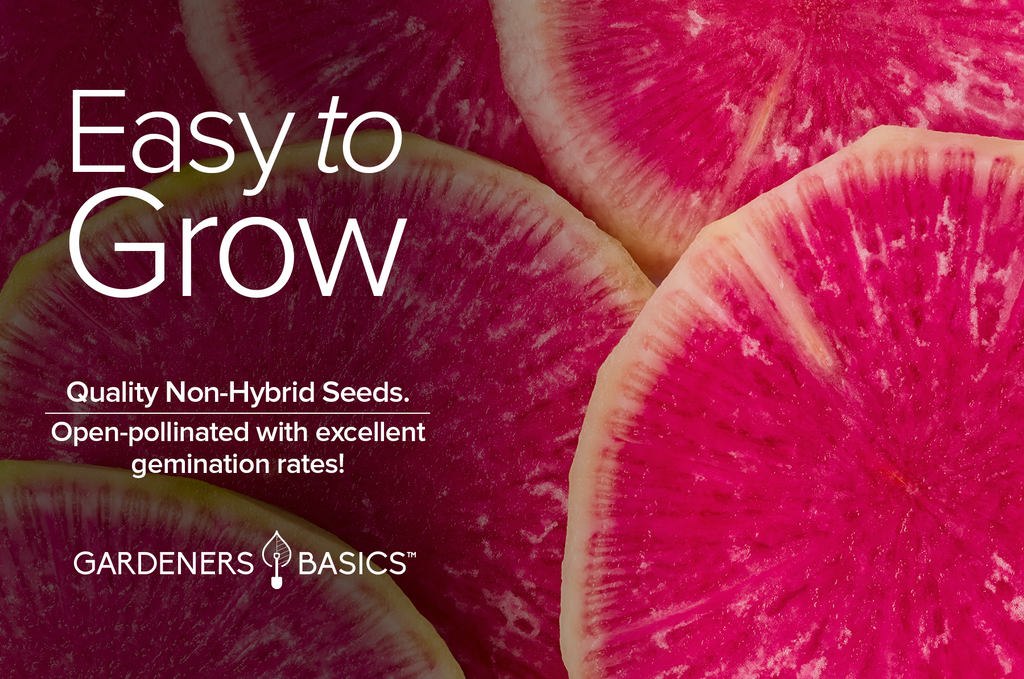 Easy-to-Grow Watermelon Radish Seeds for All Gardeners