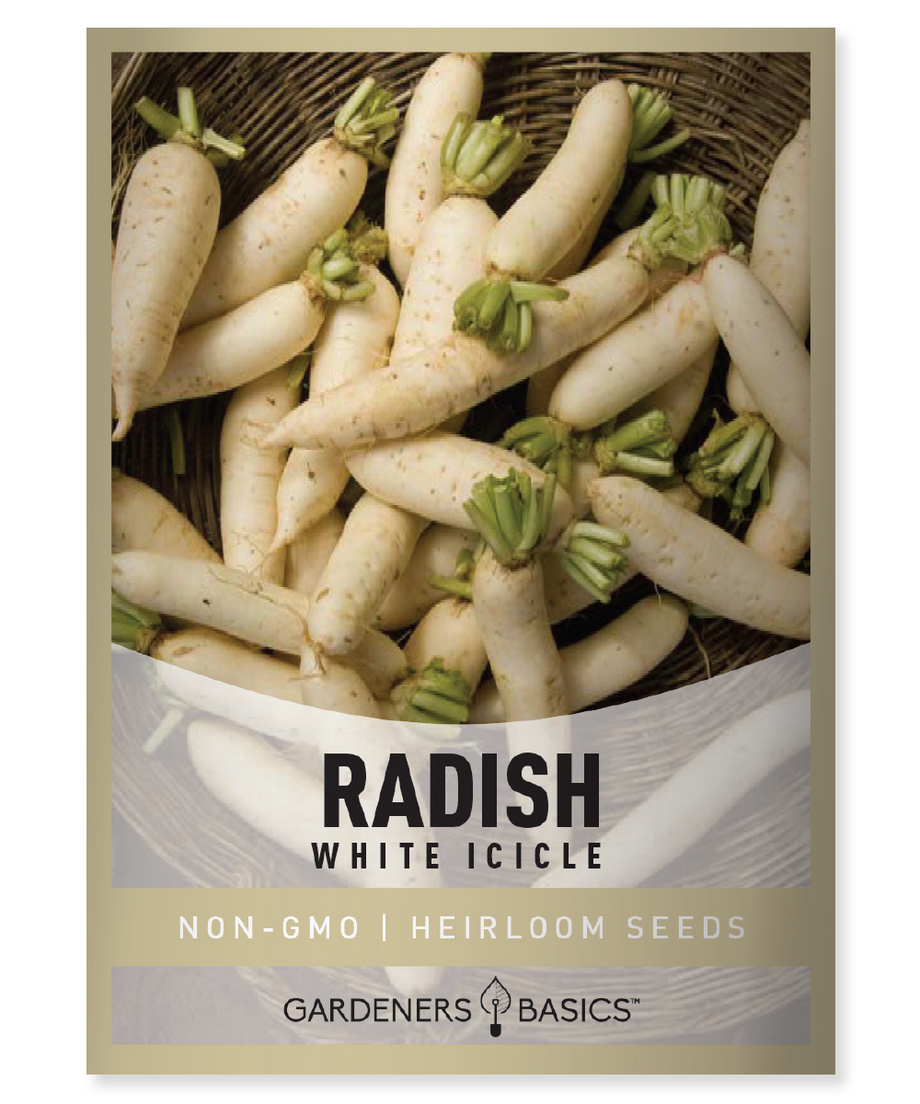 plant radish seeds White Icicle Radish Seeds For Sale