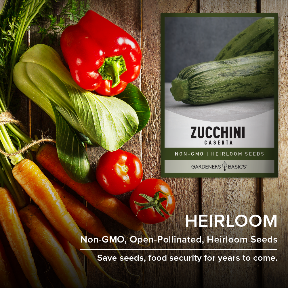 Caserta Zucchini Seeds: The Heirloom Variety Your Garden Deserves