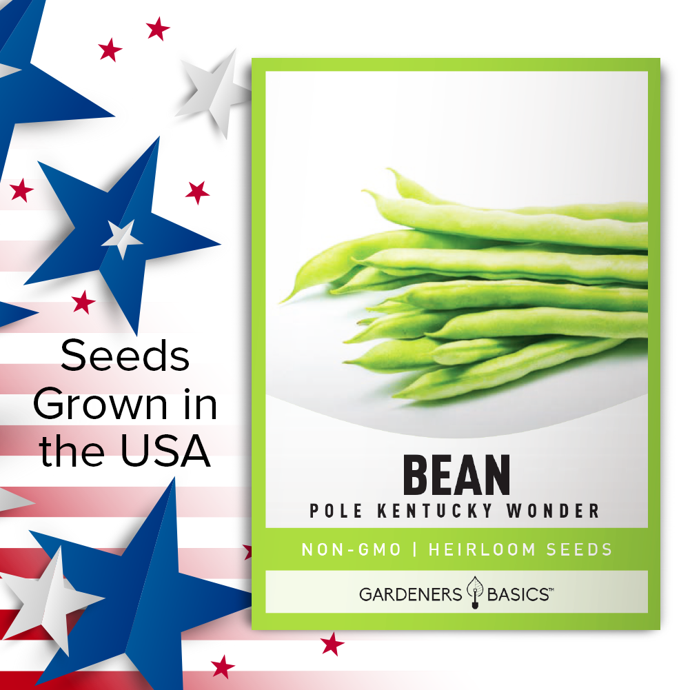 High-Quality Kentucky Wonder Pole Bean Seeds - Heirloom, Organic, Non-GMO