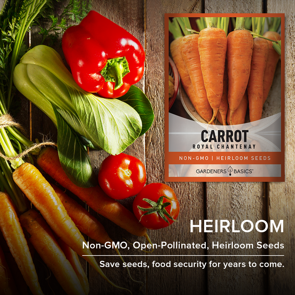 Fresh, Home-Grown Taste with Royal Chantenay Carrot Seeds