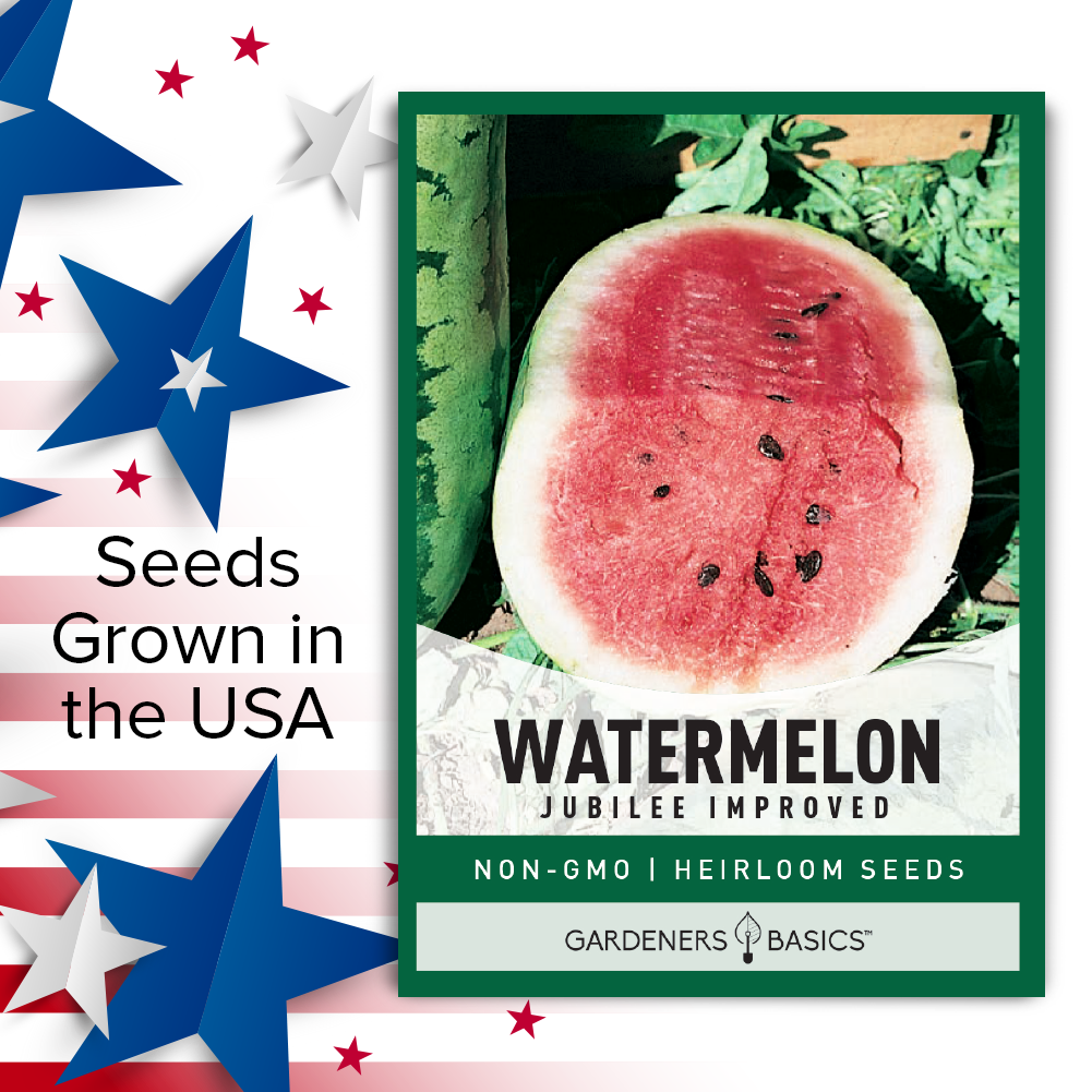 Deliciously Sweet and Juicy Jubilee Improved Watermelon Seeds