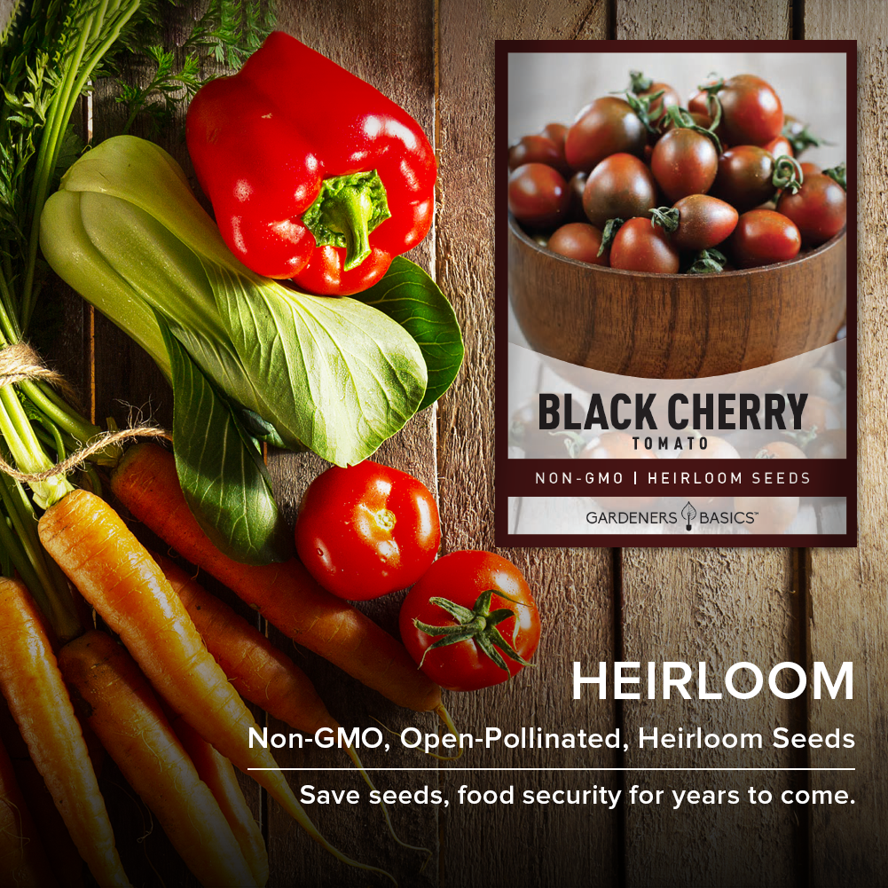 Attract Pollinators & Boost Your Garden's Ecosystem with Black Cherry Tomatoes