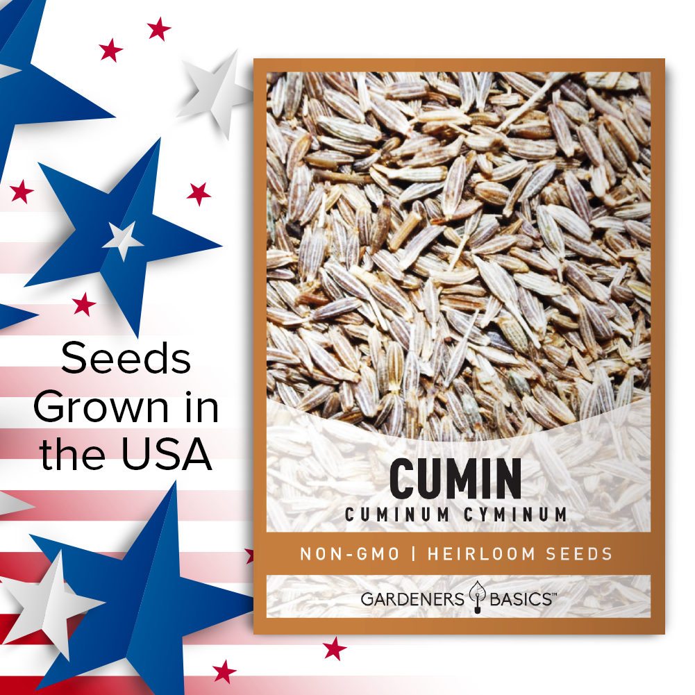 Cumin Seeds: Transform Your Garden and Your Kitchen