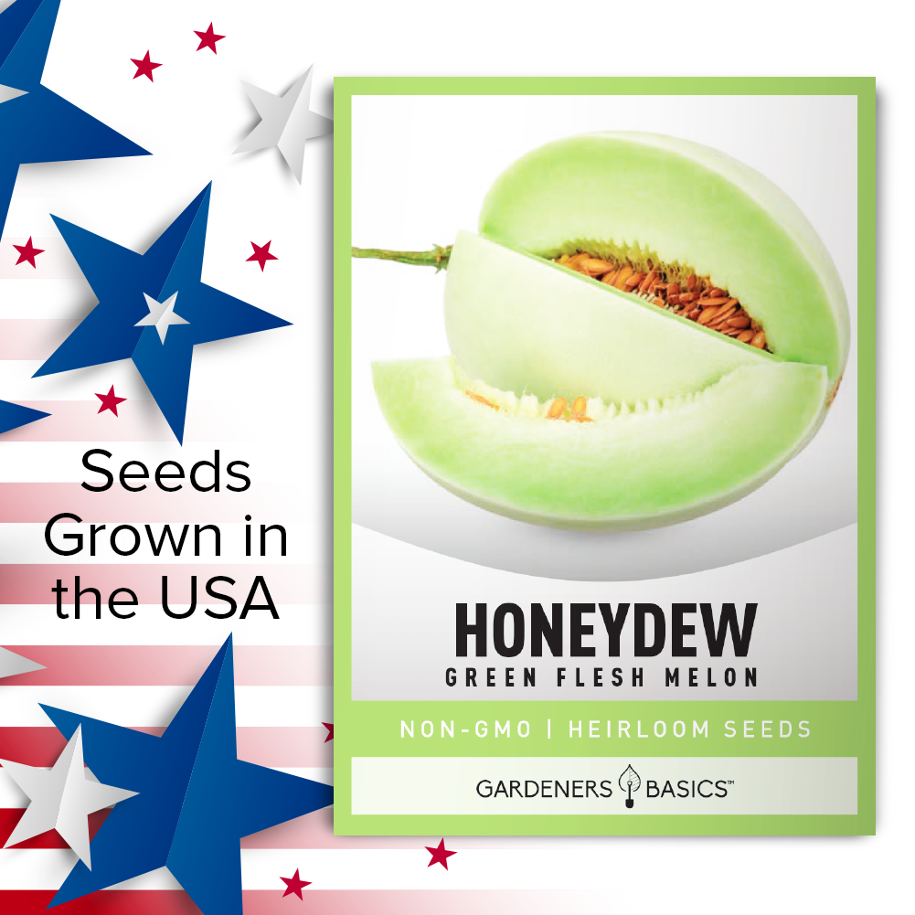 Green Flesh Honeydew Melon Seeds - A Must-Have for Fruit Gardeners