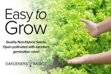 Healthy Greens Seed Collection for Your Salad Garden