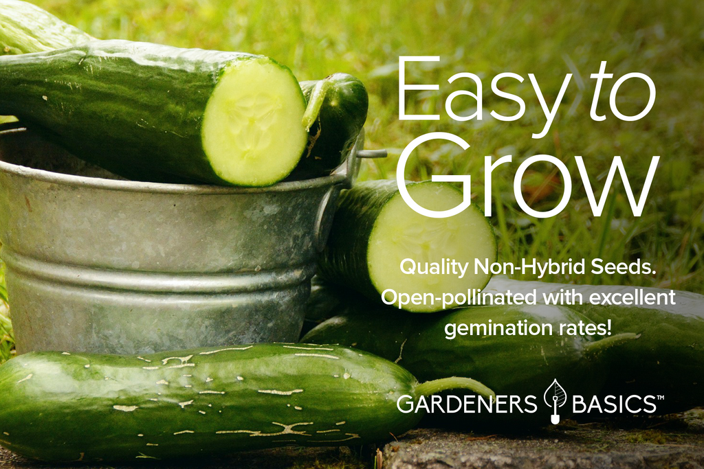 Premium Cucumber Seed Assortment: Grow 5 Unique Varieties for a Bountiful Harvest