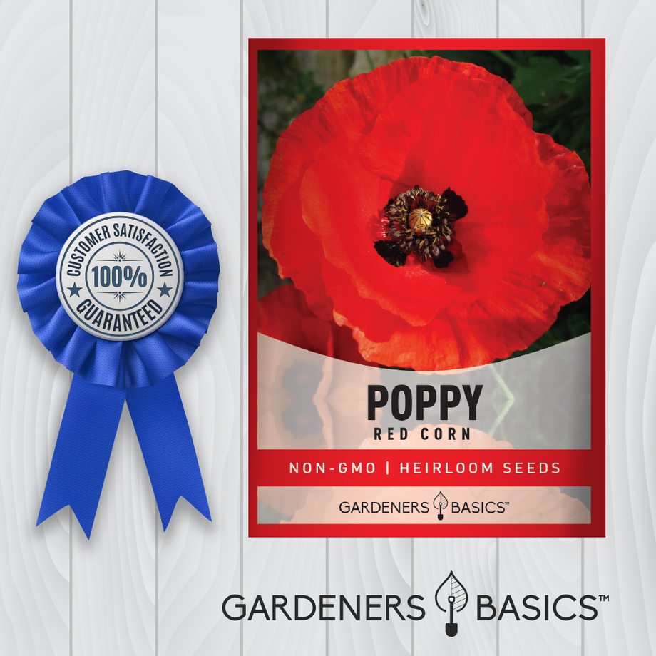 Poppy Seeds for Planting Red Corn