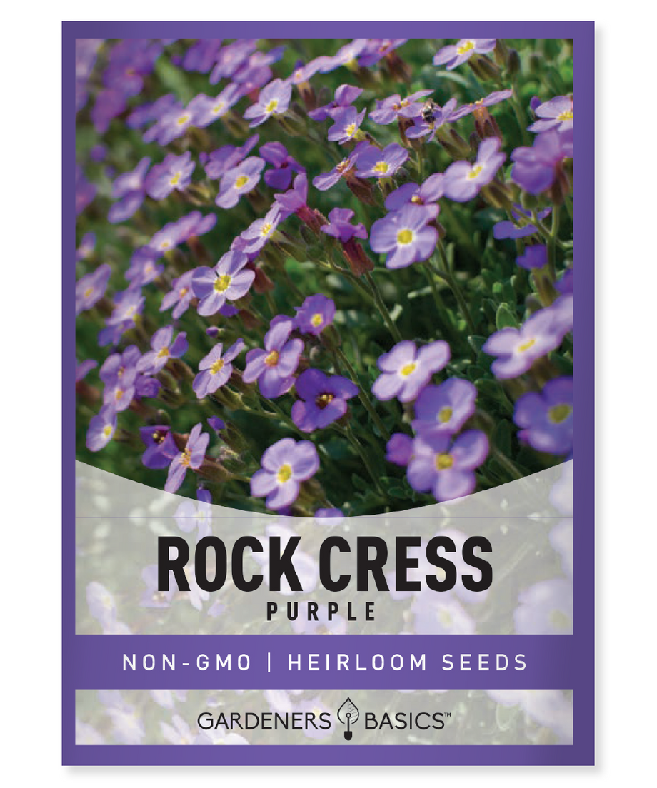rock garden seeds Purple Rock Cress Seeds for Planting – Create Stunning Vibrant Gardens – Gardeners Basics