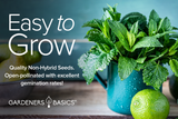 From Seed to Cup: Herbal Tea Seeds for Your Garden