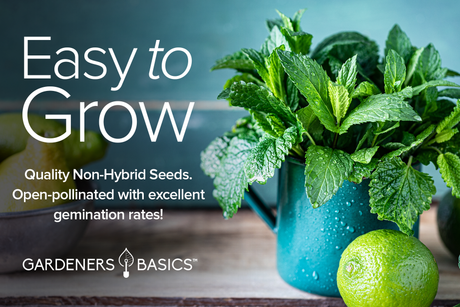 From Seed to Cup: Herbal Tea Seeds for Your Garden