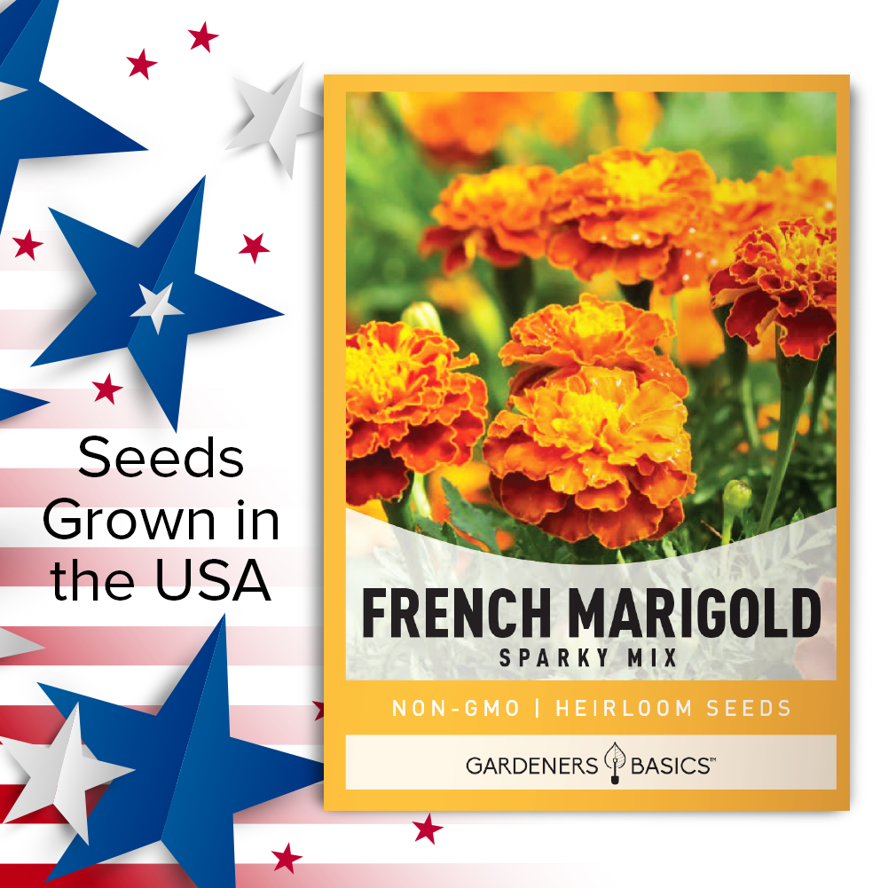 bulk french marigold seeds French Marigold Sparky Mix Seeds for Sale: Vibrant & Versatile Flowers
