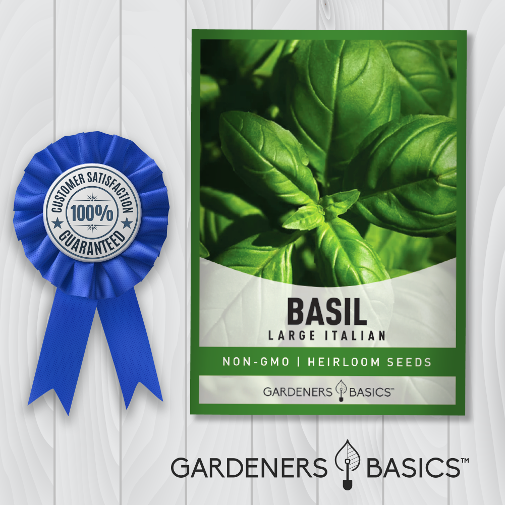 Italian Large Leaf Basil Seeds - The Ultimate Herb for Home Gardeners and Chefs