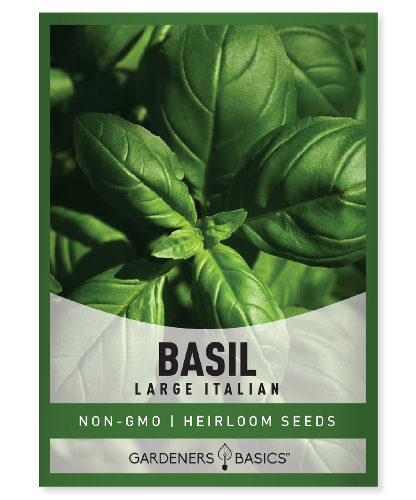 Italian Large Leaf Basil, basil seeds, heirloom variety, aromatic gardens, home gardening, basil plants, fresh basil, high-quality seeds, culinary herbs, grow your own