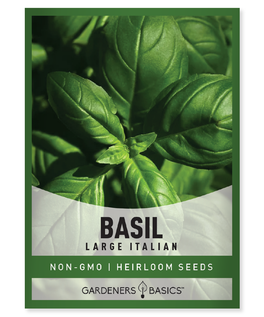 Italian Large Leaf Basil Seeds Gardeners Basics Italian large leaf basil seeds gardeners basics