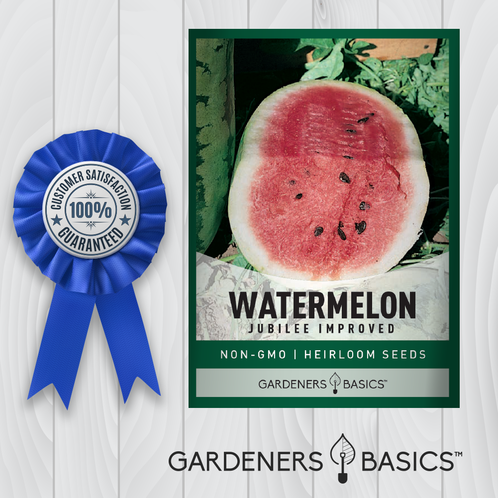 Make Your Garden a Summer Sensation with Jubilee Watermelon Seeds