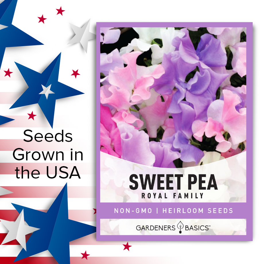 Sweet Pea 'Royal Family' Mixed Color Seeds - Heirloom, Fragrant Vine, Non-GMO, 50 Count 6 thumbnail image