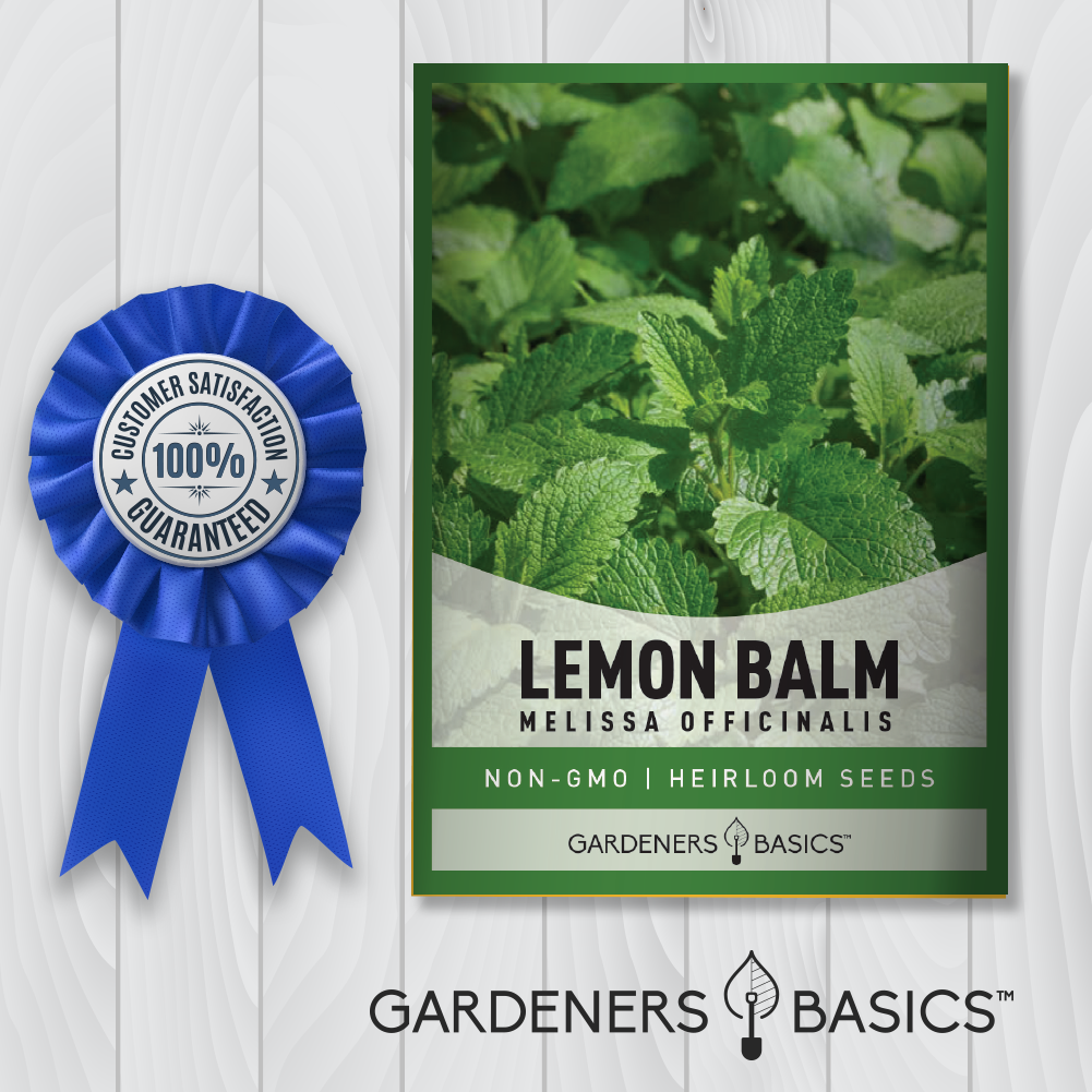 Lemon Balm Seeds: Cultivate Your Own Calming & Medicinal Herb