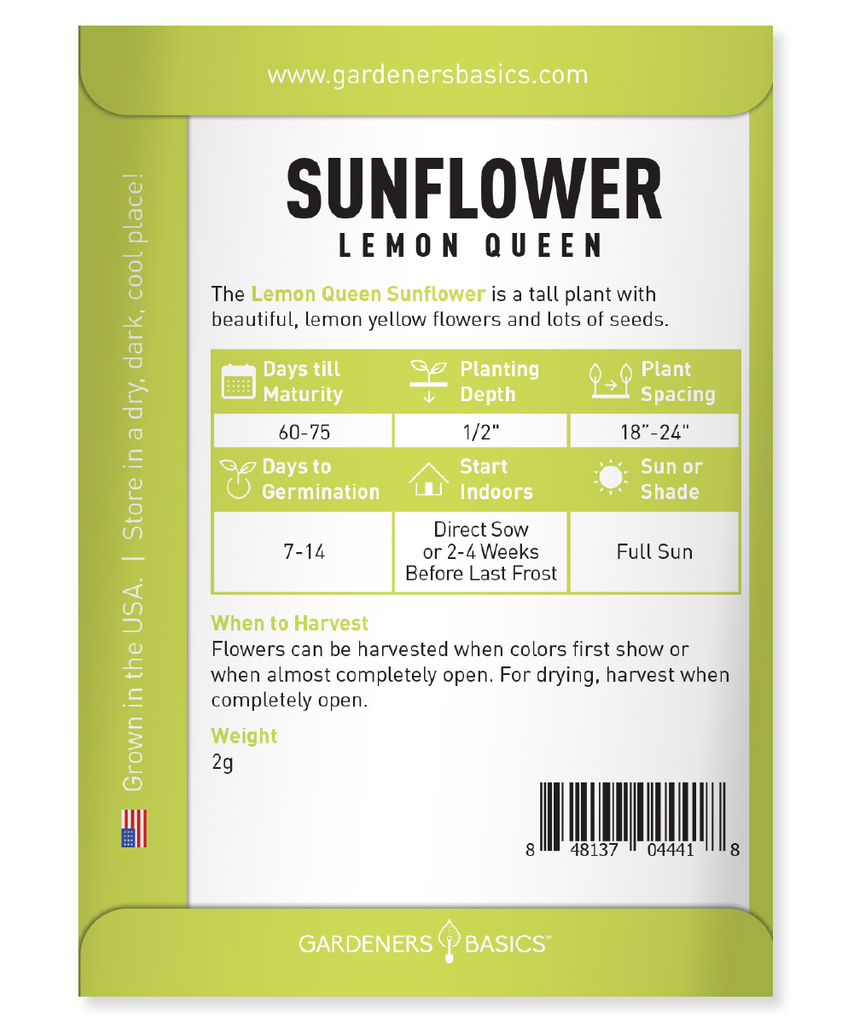 Lemon Queen Sunflower Seeds for Planting: Easy and Rewarding