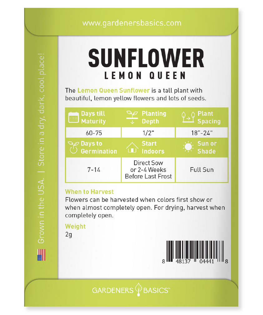 Lemon Queen Sunflower Seeds for Sale Splash of Sunshine to Your Garden