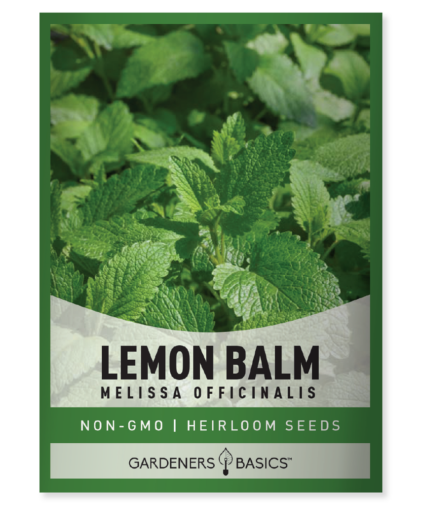 Lemon Balm Seeds Organic Lemon Balm Non-GMO Seeds Seeds for Planting Herbal Garden Aromatic Herb Medicinal Herb Lemon Balm Plant Culinary Herb Health Benefits Gardening Home Garden Fragrant Herb Melissa officinalis Perennial Herb Stress Relief Digestive Aid Antioxidant Anti-inflammatory Easy to Grow