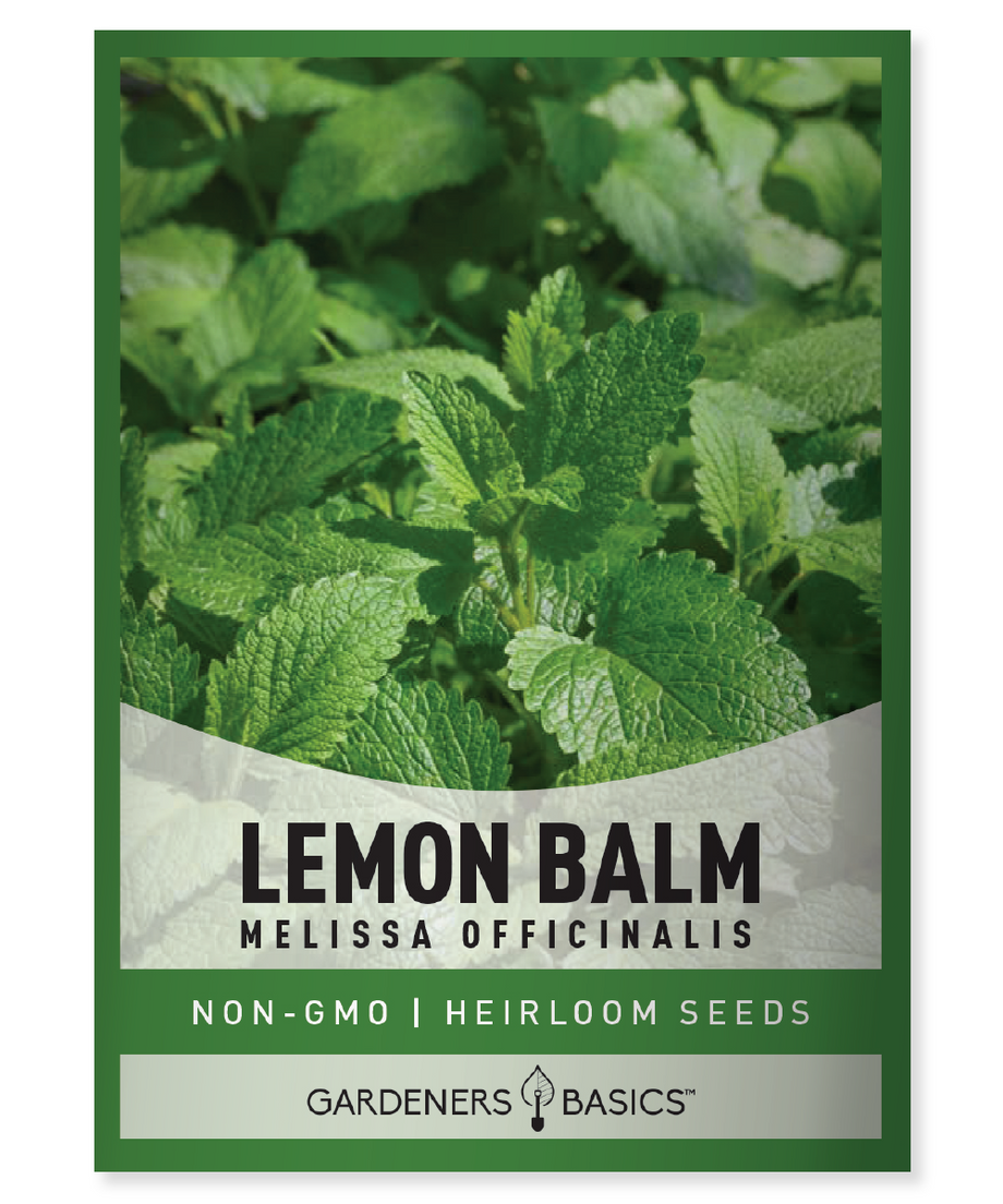 plant lemon balm seeds Best Lemon Balm Seeds for Planting: Enjoy the Benefits of This Herb –  Gardeners Basics