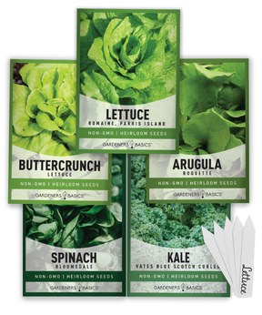 Lettuce and Greens Seeds Variety Pack Non-GMO Seeds For Home Vegetable Garden