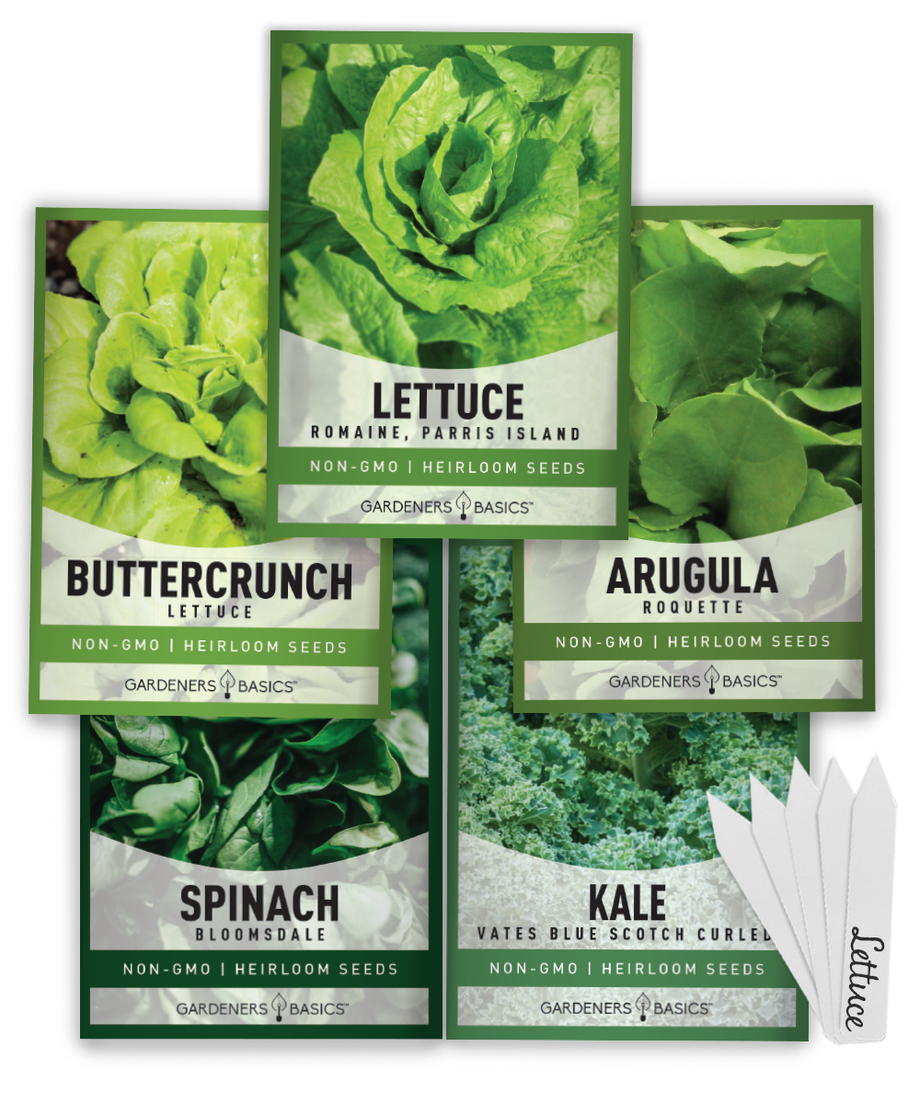 garden lettuce seeds 5 Lettuce Seed Heirloom Variety Pack For Indoor & Outdoor Gardening –  Gardeners Basics