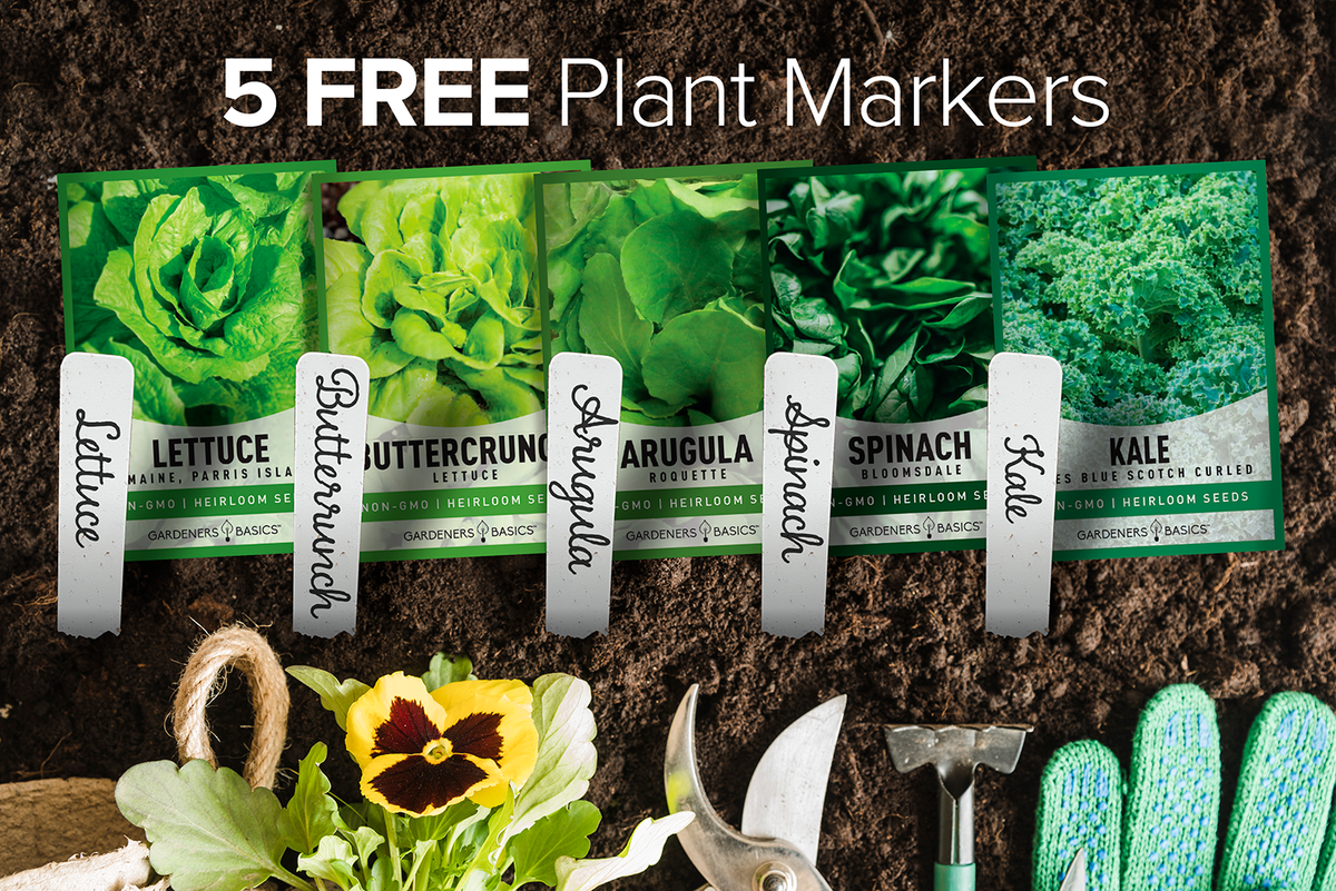Lettuce and Greens Seeds Variety Pack Non-GMO Seeds For Home Vegetable Garden Plant Markers