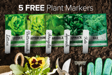 Lettuce and Greens Seeds Variety Pack Non-GMO Seeds For Home Vegetable Garden Plant Markers