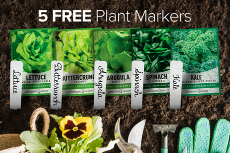 Lettuce and Greens Seeds Variety Pack Non-GMO Seeds For Home Vegetable Garden Plant Markers