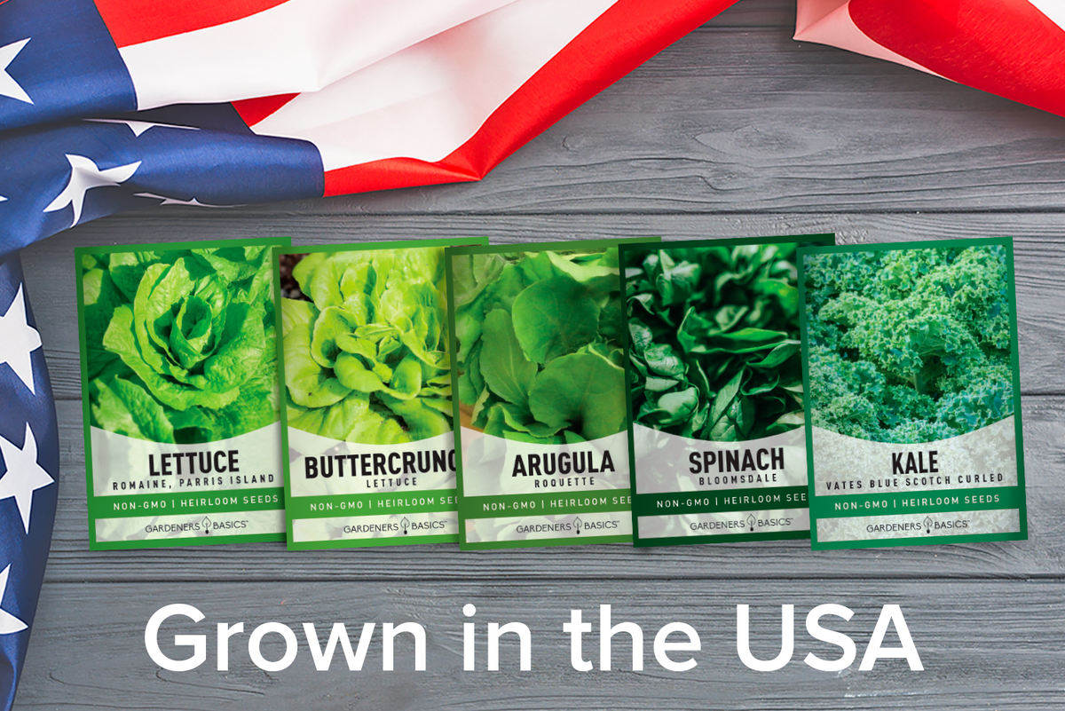 Lettuce and Greens Seeds Variety Pack Non-GMO Seeds For Home Vegetable Garden USA