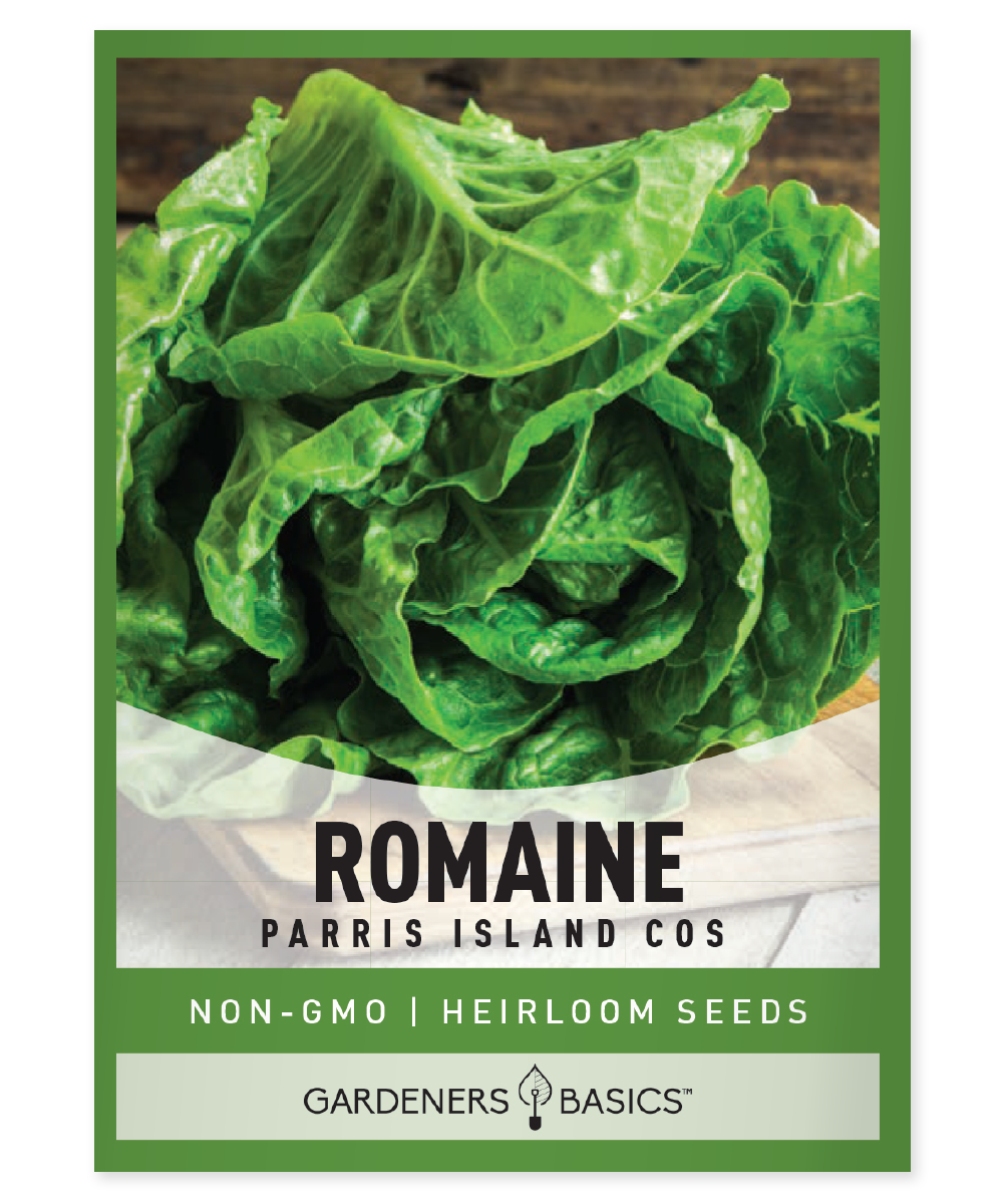Front of Gardeners Basics Parris Island Cos romaine lettuce seed packet