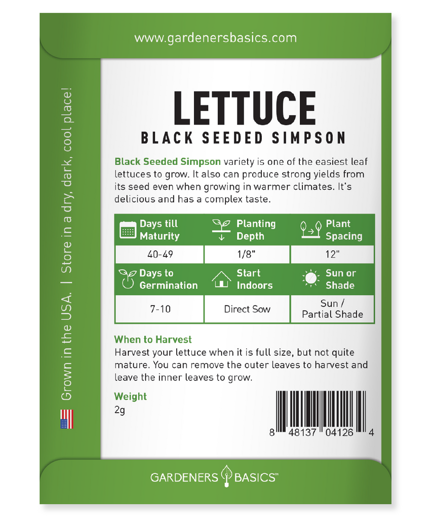 Black Seeded Simpson Seeds For Planting Heirloom Non-GMO Seeds For Home Garden