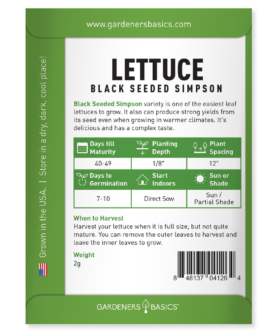 lettuce seed planting depth Black Seeded Simpson Lettuce Seeds For Planting