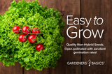 Easy-to-grow Parris Island Cos romaine lettuce for home gardens