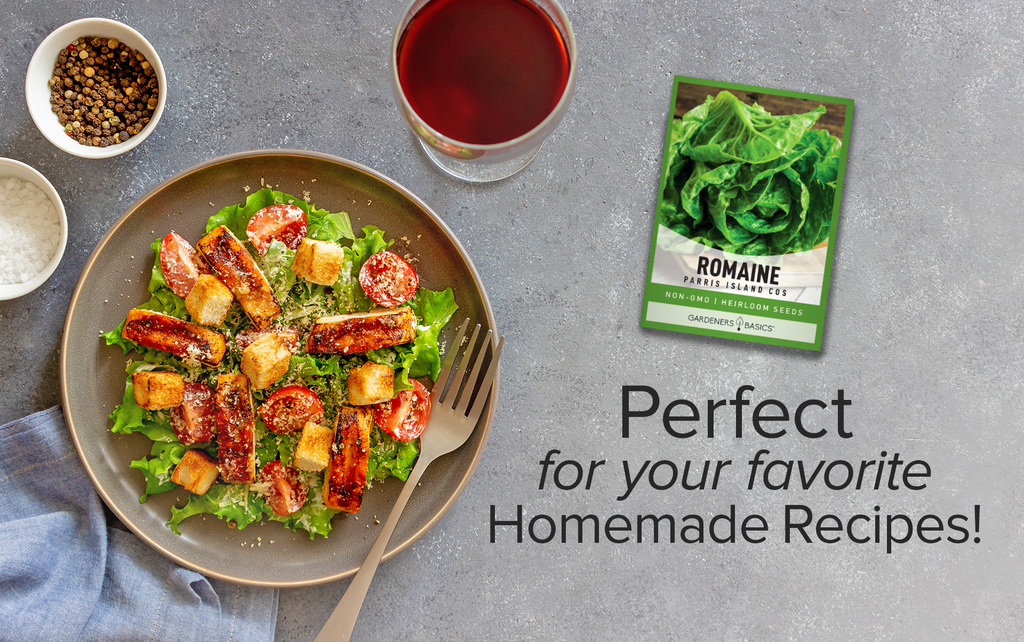 Parris Island Romaine Lettuce Seeds For Planting Non-GMO Seeds For Home Vegetable Garden Homemade Recipes