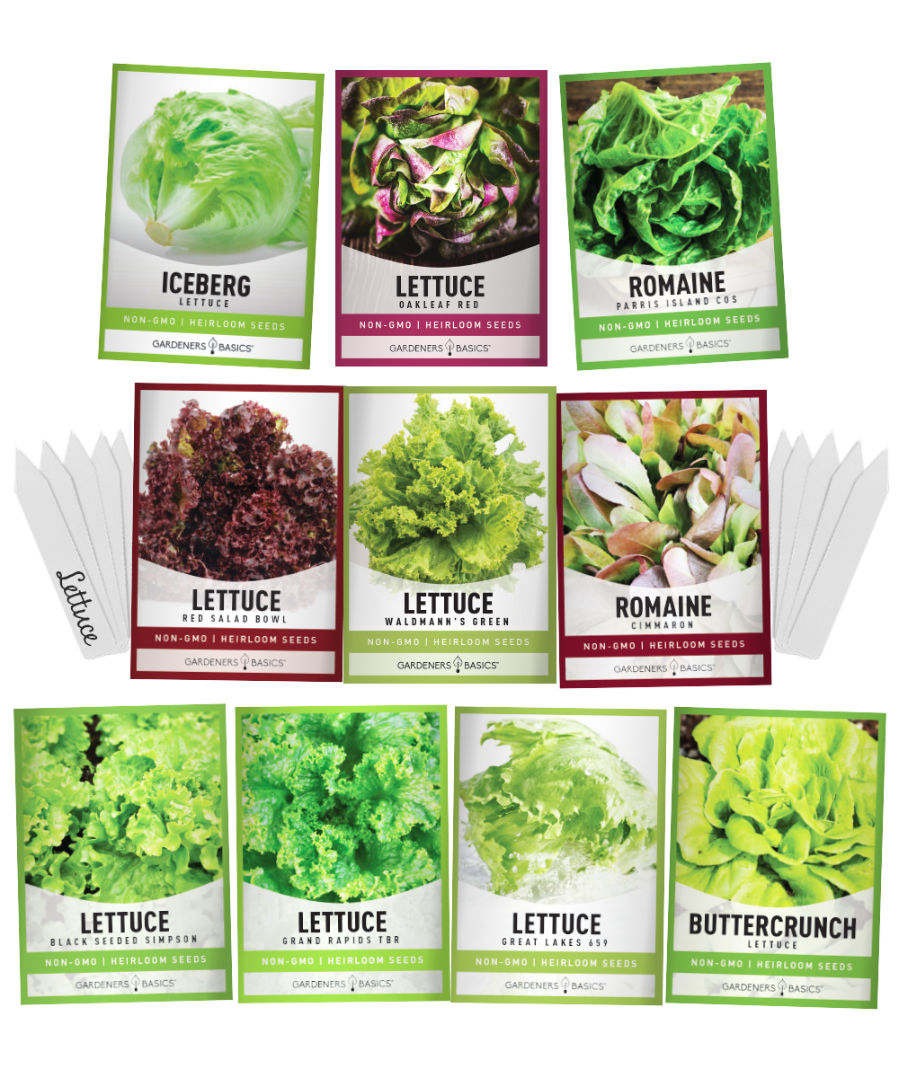 Gardeners Basics salad greens seed assortment with 10 heirloom lettuce varieties