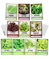 Gardeners Basics salad greens seed assortment with 10 heirloom lettuce varieties