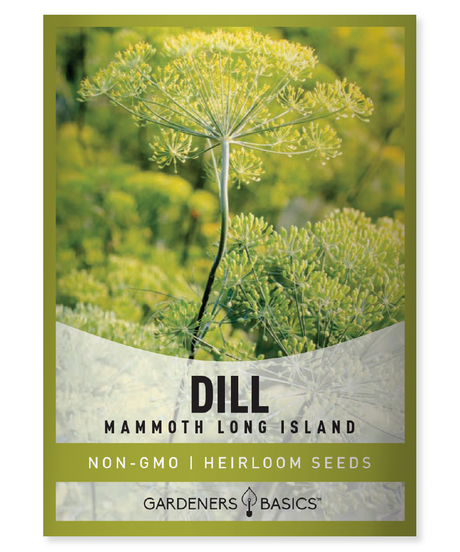 Long Island Mammoth Dill Seeds Dill seeds for planting Herb garden Non-GMO seeds Aromatic dill Easy-to-grow herbs Homegrown dill Organic gardening Pickling dill seeds Dill seeds for chefs Fresh dill flavor Fragrant garden plants Attract beneficial insects Culinary herbs Gardening gift idea