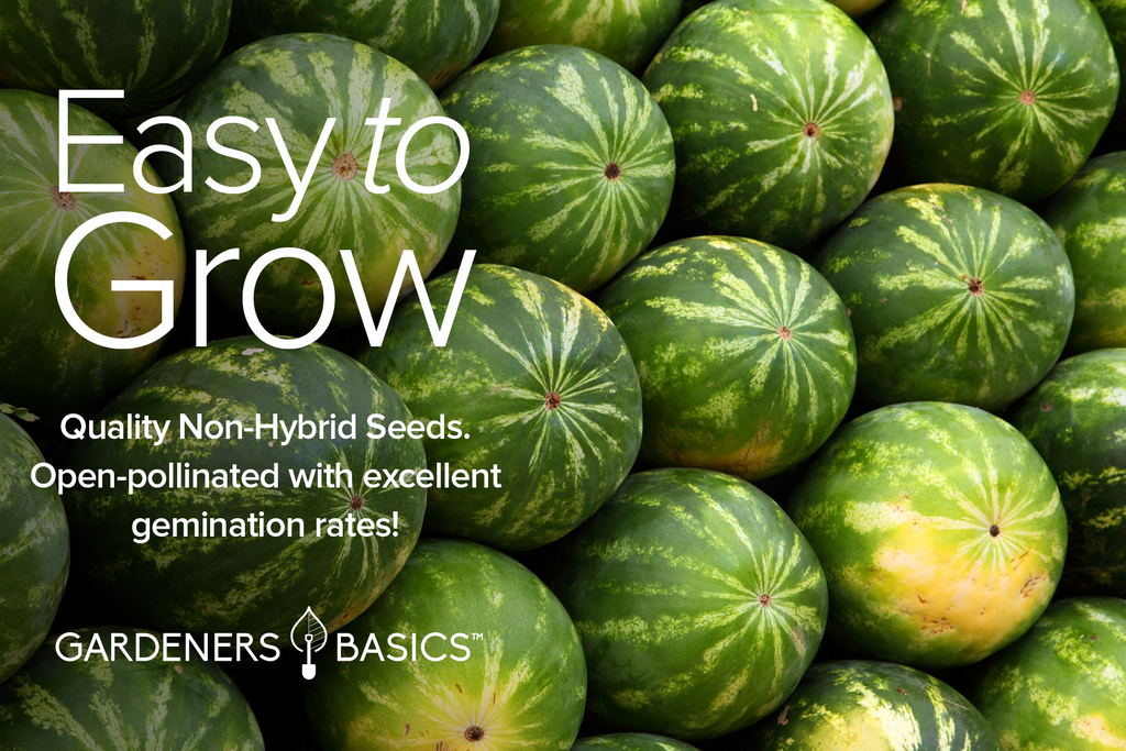 A Taste of Summer: 5 Melon Seeds for Your Home Garden