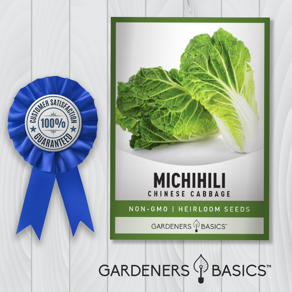 Heirloom Michihili Chinese Cabbage Seeds: Perfect for Urban Farms & Gardens