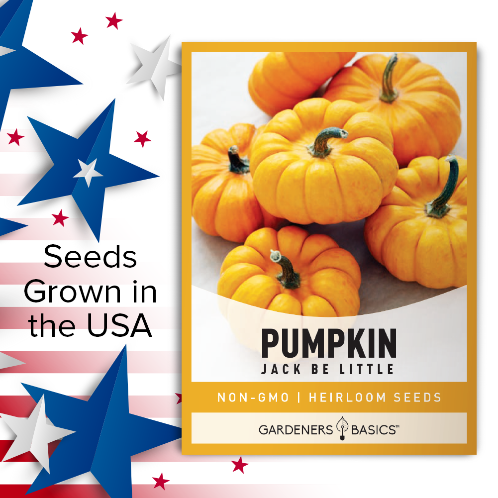 Jack Be Little Pumpkin Seeds: Grow Your Own Fall Wonderland