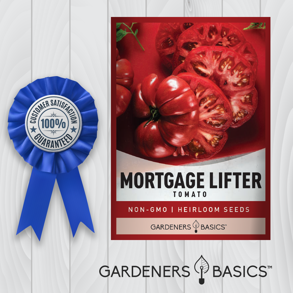 Mortgage Lifter Tomato Seeds: Perfect for Home Gardeners and Tomato Lovers