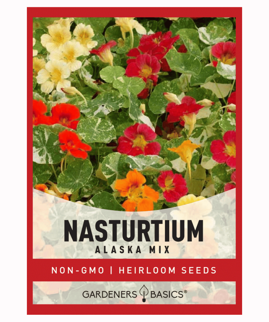 alaska wildflower seed mix Alaska Mix Nasturtium Seeds – Heirloom, Non-GMO, Vibrant Flowers –  Gardeners Basics