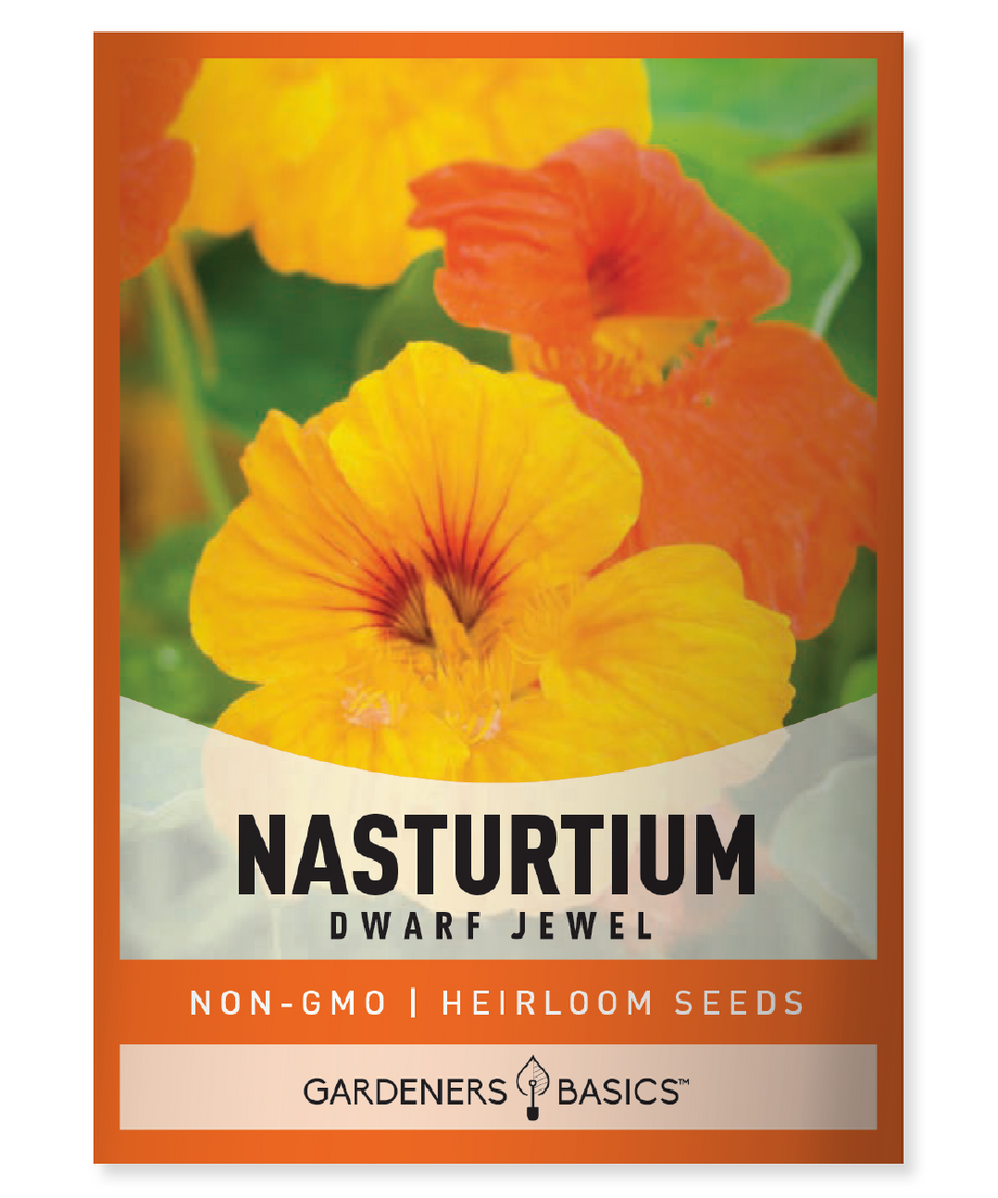 dwarf flower seeds Nasturtium Jewel Mix Flower Seeds For Planting Edible and Easy-to-Grow –  Gardeners Basics