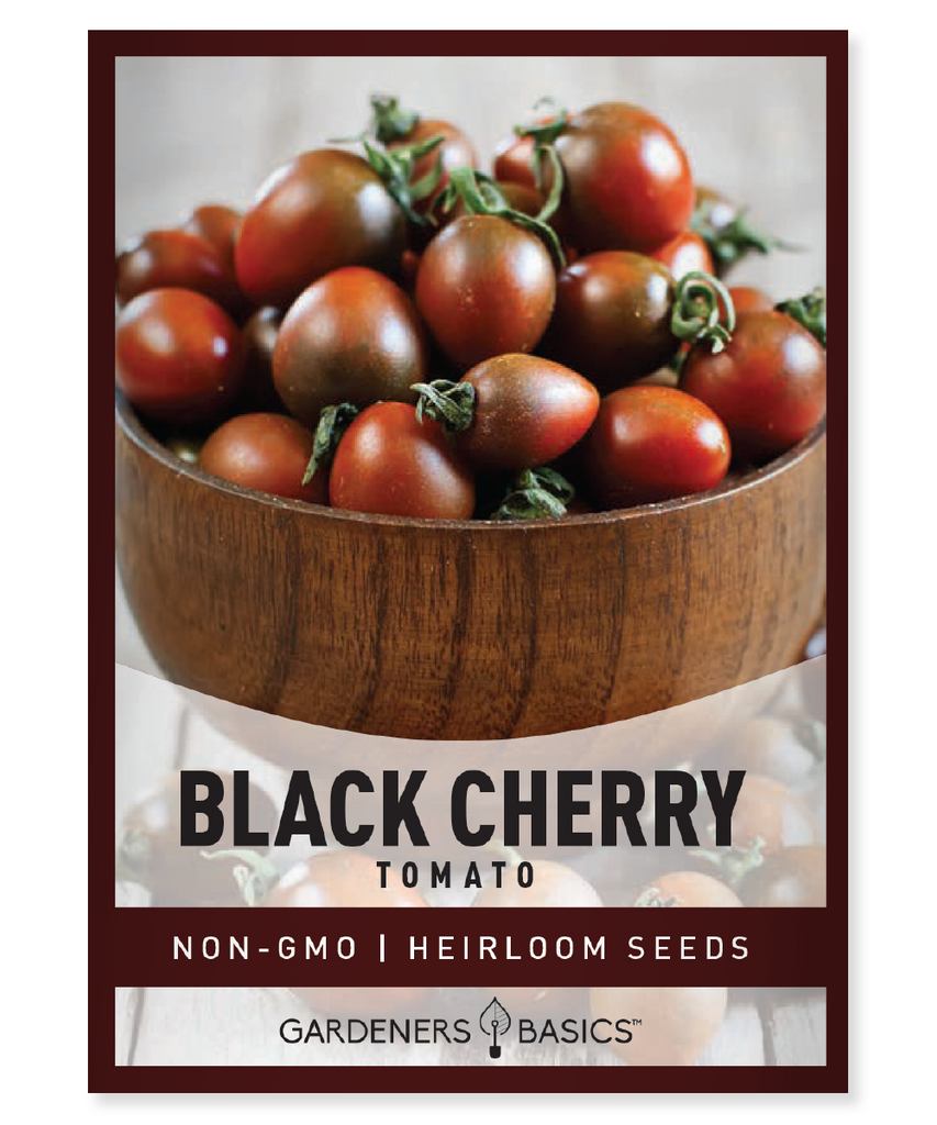 Black Cherry Tomato Seeds Cherry Tomato Seeds for Planting Non-GMO Tomato Seeds Premium Tomato Seeds Homegrown Cherry Tomatoes Container Gardening High Germination Rate Garden Seeds Tomato Seeds Online Gourmet Cherry Tomatoes High Yield Tomato Plants Organic Tomato Seeds Easy to Grow Tomato Seeds Pollinator Friendly Garden Heirloom Tomato Seeds