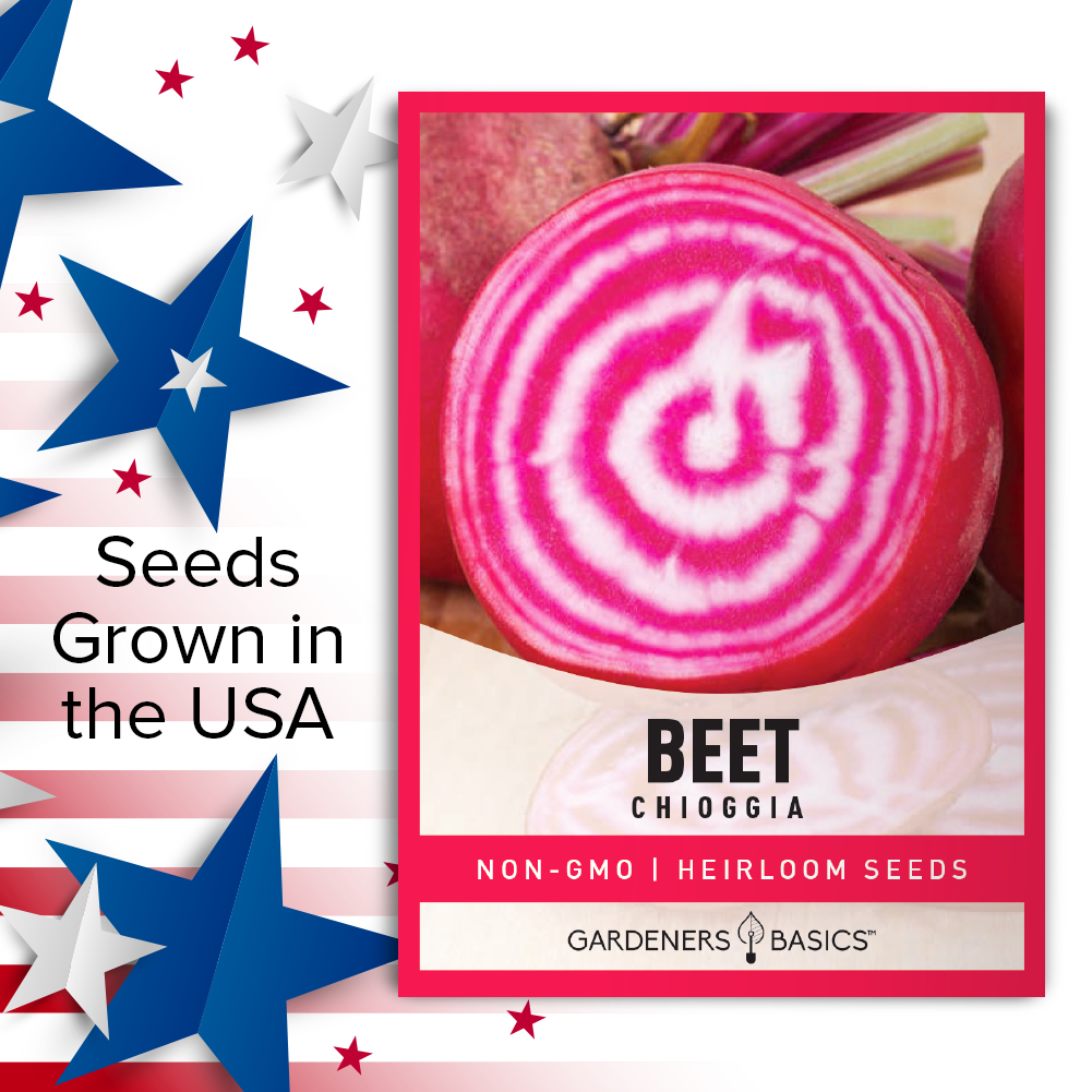 Chioggia Beet Seeds: Your Ticket to an Unforgettable Harvest of Candy-Striped Beetroots