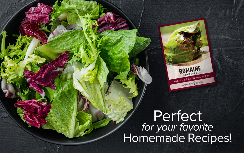 Fresh, Homegrown Greens: Cimmaron Romaine Lettuce Seeds for Planting