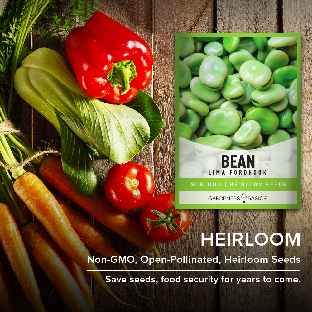 Unlock the Potential of Your Garden with Fordhook Lima Bean Seeds